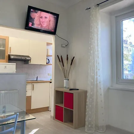 Apartment Flower Blooms Trieste