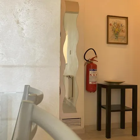 Apartment Flower Blooms Trieste