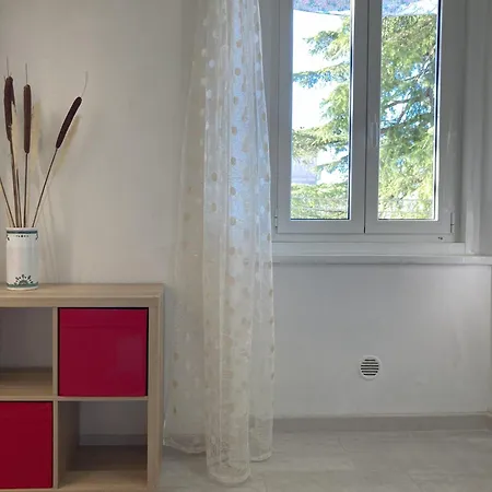 Apartment Flower Blooms Trieste