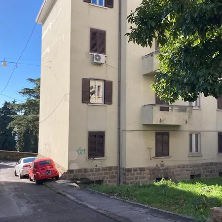 Apartment Flower Blooms Trieste